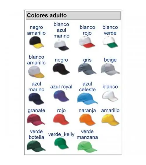 GORRA VISERA