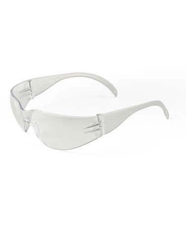 GAFAS DE PROTECCIÓN CON MONTURA UNIVERSAL
