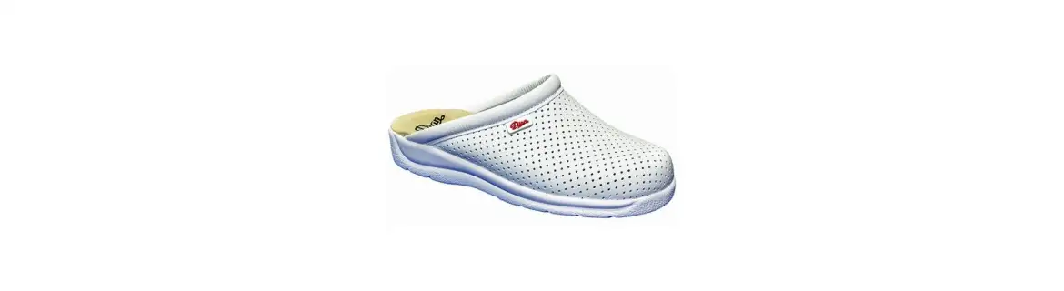 ≫ Zuecos Sanitarios ✔️ Compra al mejor precio