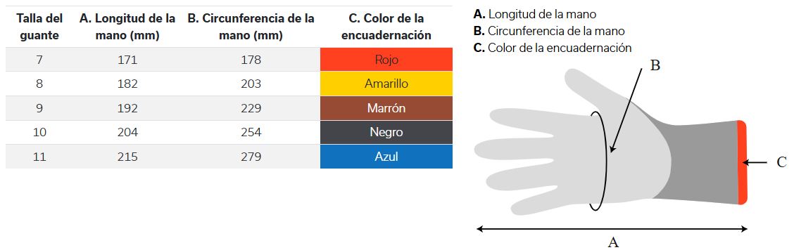 tallas