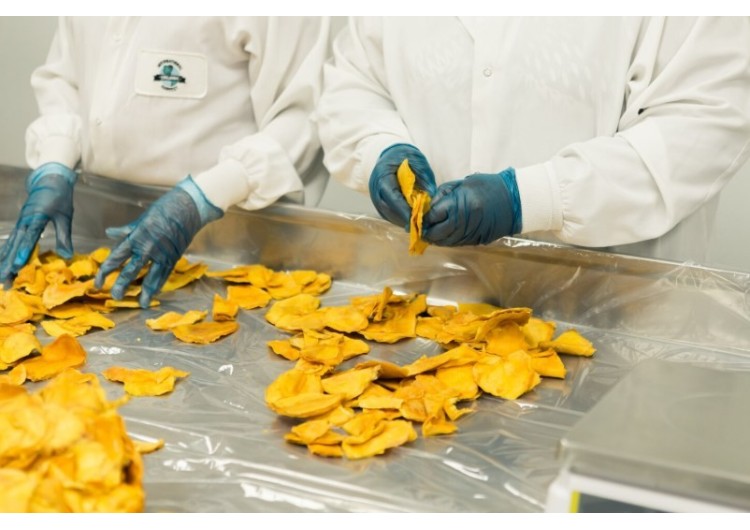 Vestuario laboral para la industria alimentaria: qué debe cumplir según la normativa actual